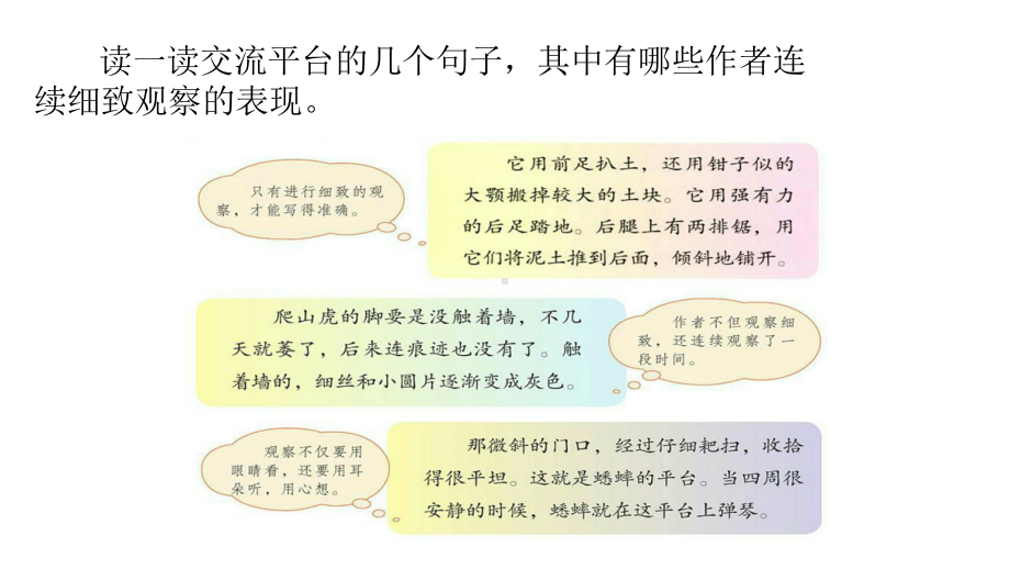 部编版语文四年级上册 语文园地三课件(PPT15页).pptx_第3页