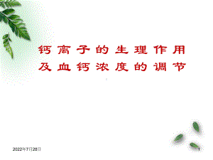 钙离子钙离子的生理作用PPT幻灯片课件.ppt