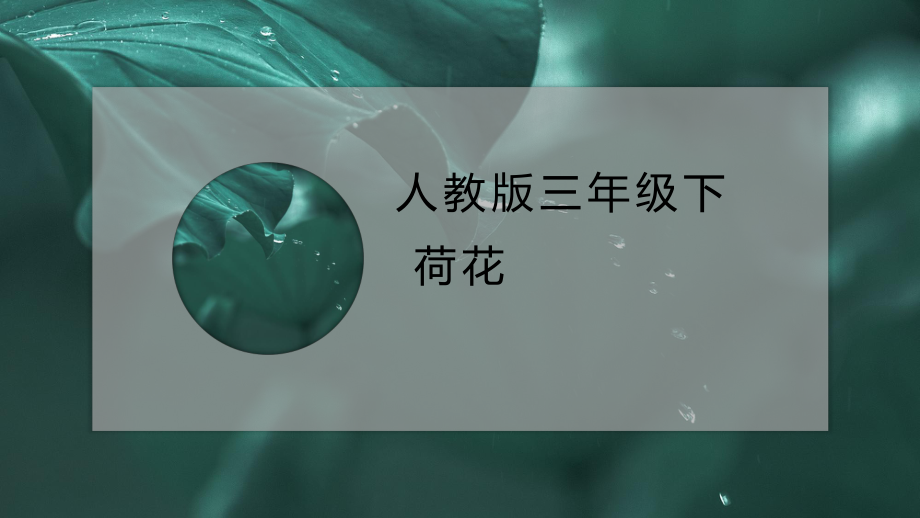 三年级下3公开课课件.pptx_第1页