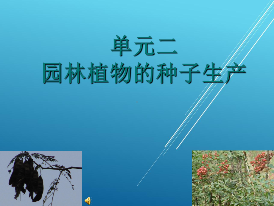 维修电工项目二课件.ppt_第1页