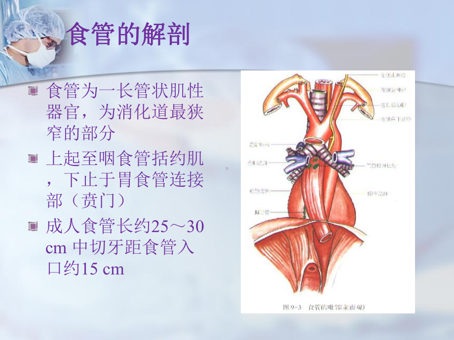 食管疾病--医学课件.ppt_第3页