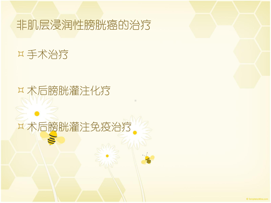 膀胱肿瘤治疗课件.ppt_第3页