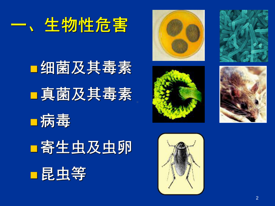 食品安全导论-第二章-食品中的生物性危害 课件.ppt_第2页