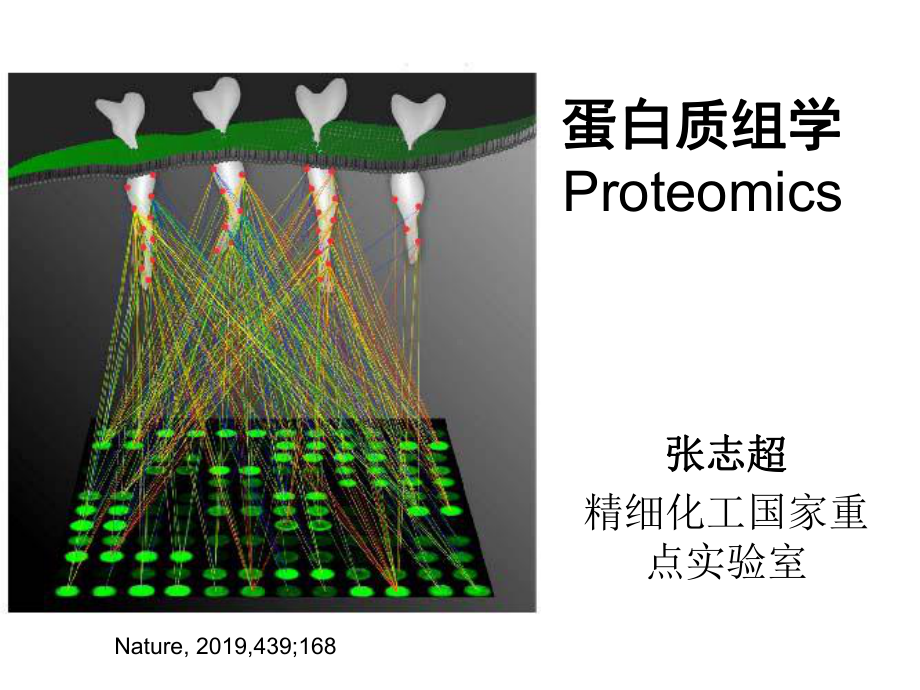 蛋白质组学Proteomics-PPT课件.ppt_第1页