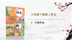 部编版三年级下册语文 5.守株待兔（29页人教版）公开课课件.pptx