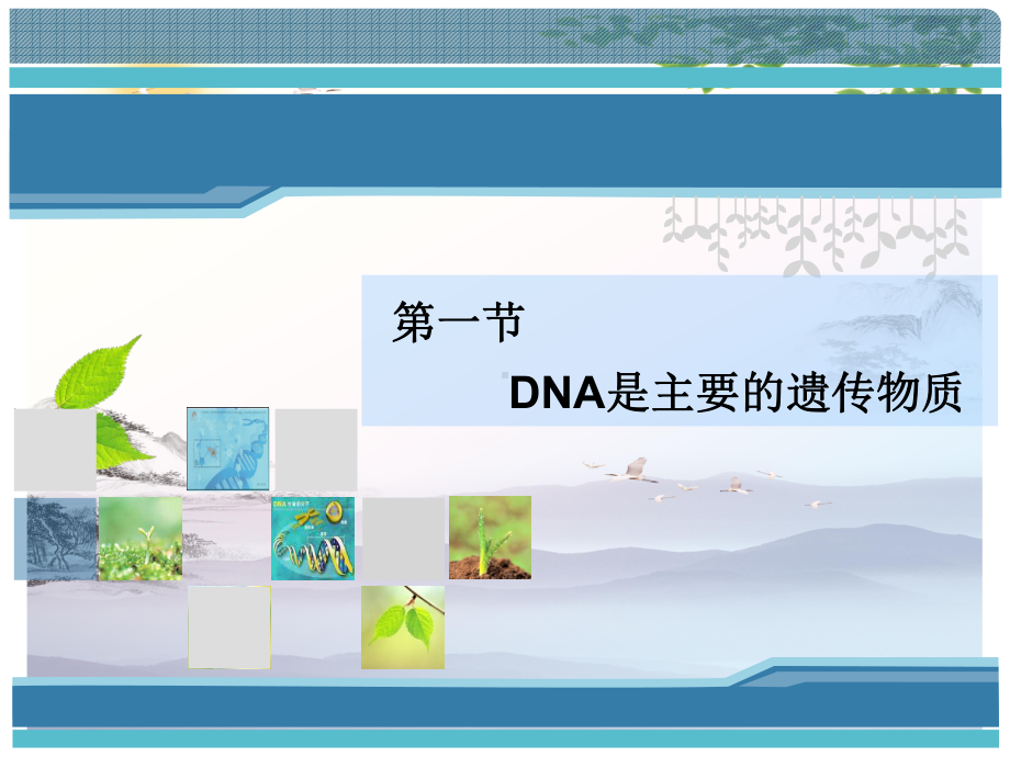 DNA是主要的遗传物质.pptx_第1页