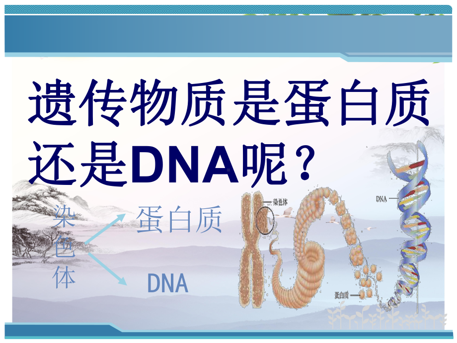 DNA是主要的遗传物质.pptx_第2页