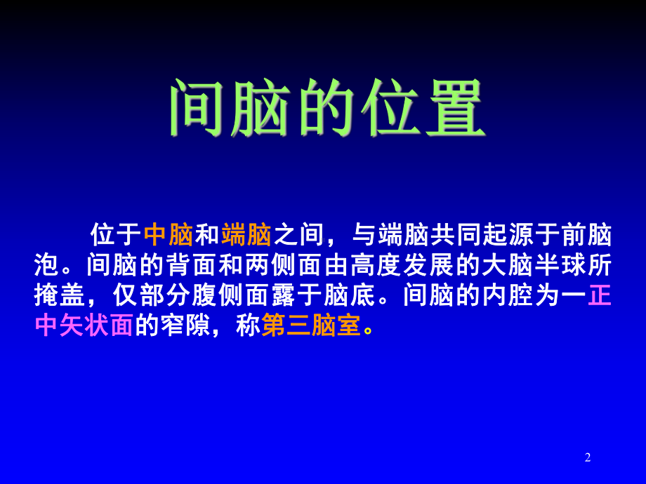 间脑解剖医学PPT课件.ppt_第2页