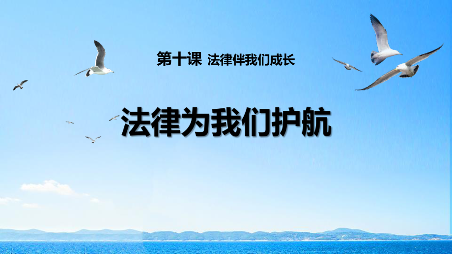 2021最新《法律为我们护航》PPT教学课件.pptx_第1页