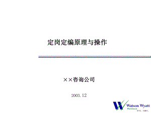 ××公司定岗定编原理与操作(1).ppt