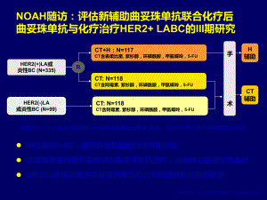 asco进展her阳性bc相关-PPT课件.ppt