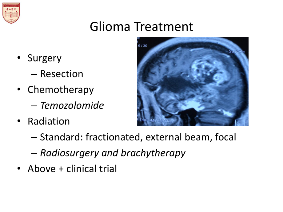 胶质瘤手术how-much课件.pptx_第3页
