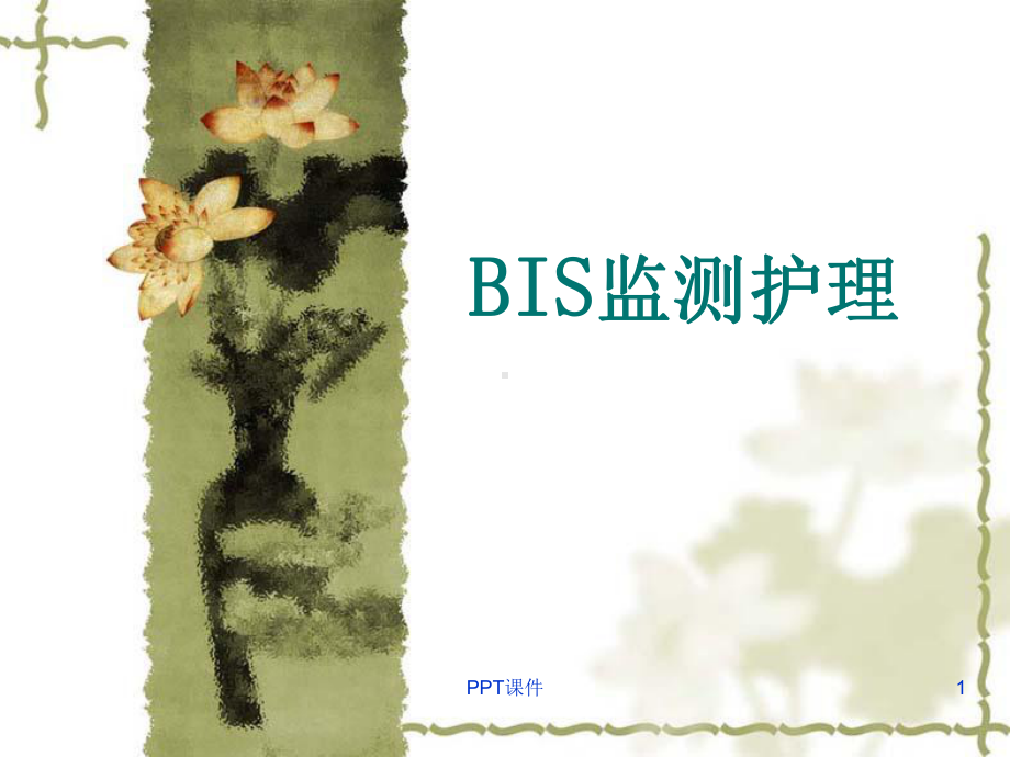 BIS监测护理-ppt课件.ppt_第1页