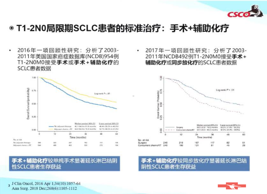 2021CSCO-小细胞肺癌诊疗指南SCLC-放疗部分解读PPT课件.ppt_第3页