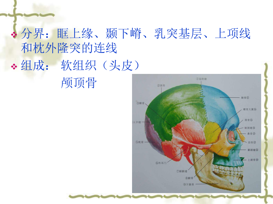 颅脑局解剖课件.ppt_第2页