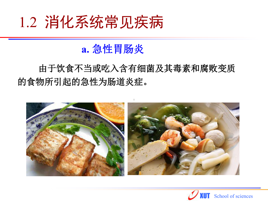 胃酸分泌拟制药课件.ppt_第3页