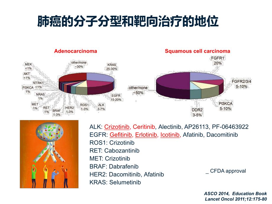 晚期NSCLC分子靶向药物最新进展课件.pptx_第3页