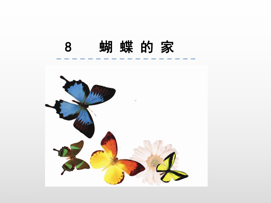 部编版四年级上册语文 8.蝴蝶的家 公开课课件 2.ppt_第1页