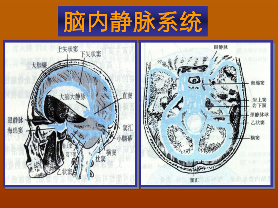 血管病神经保护治疗(胡学强)课件.ppt_第3页