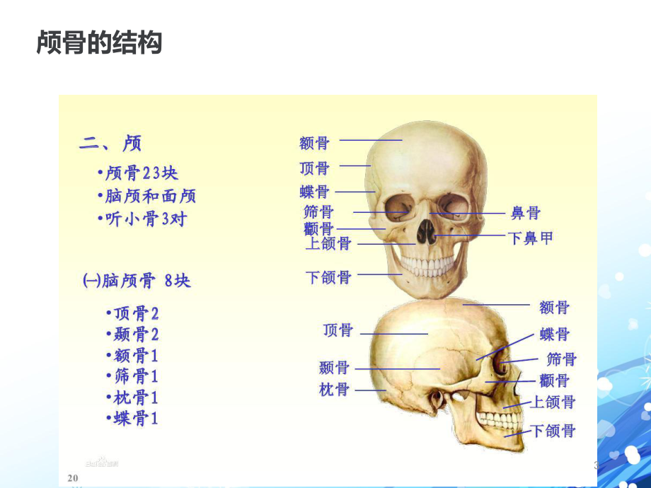 颅底骨折护理查房PPT幻灯片课件.ppt_第3页