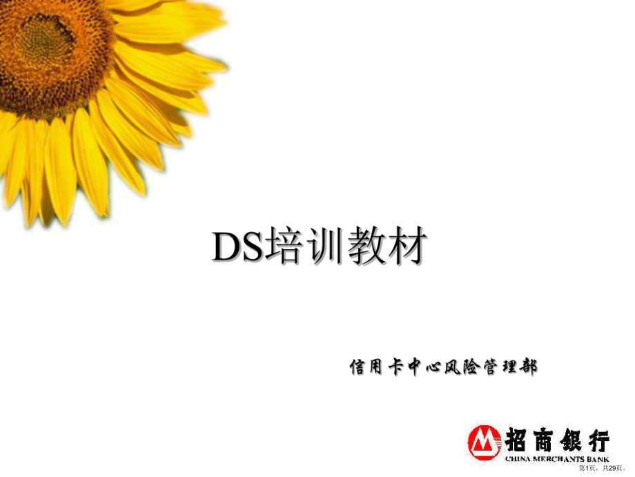 DS培训教材.ppt_第1页