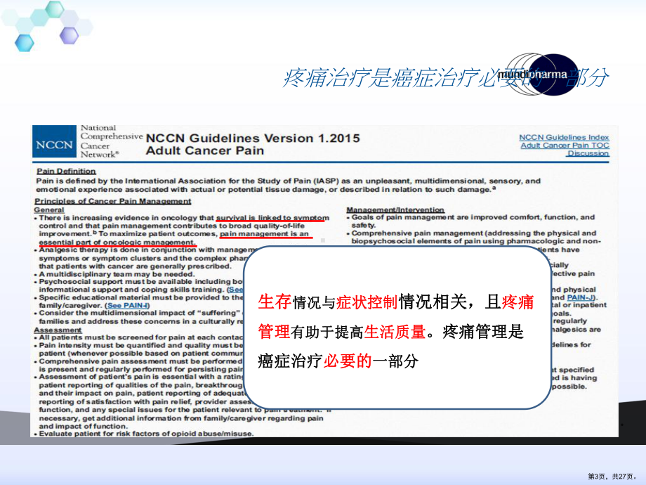 NCCN成人癌痛指南更新汇总课件(PPT 27页).pptx_第3页