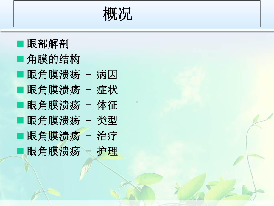 角膜溃疡的治疗护理-ppt课件.ppt_第2页