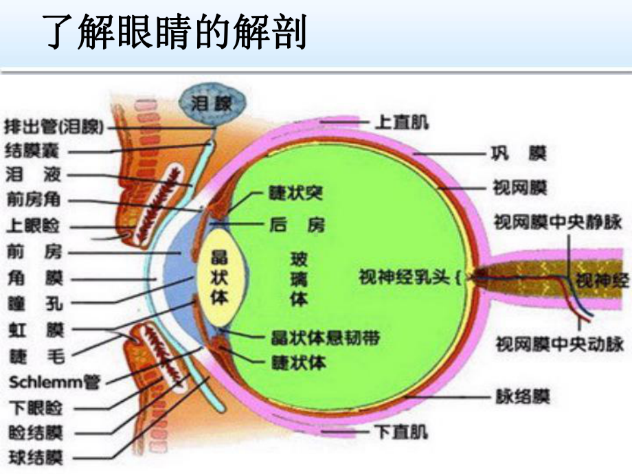 角膜溃疡的治疗护理-ppt课件.ppt_第3页