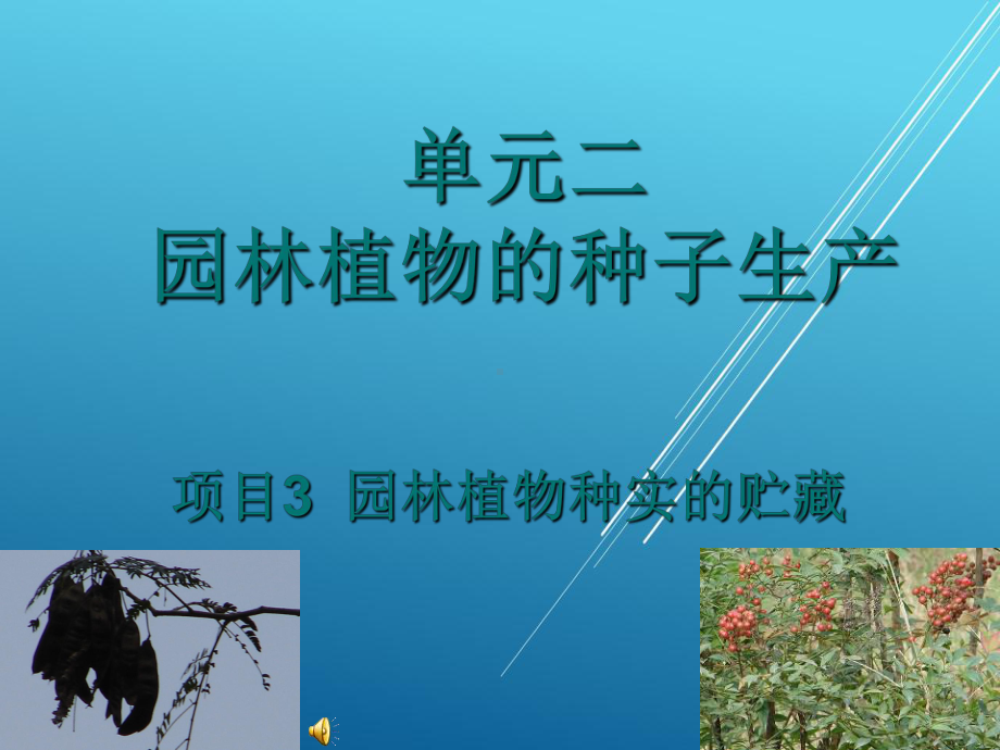 维修电工项目三课件.ppt_第1页