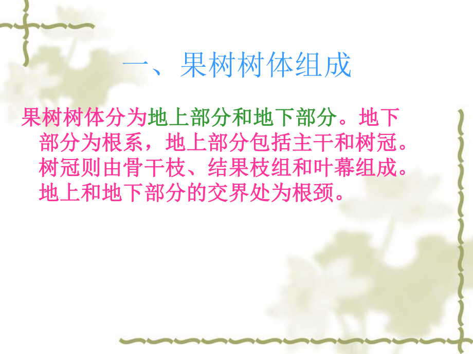 花芽和叶芽课件.ppt_第3页