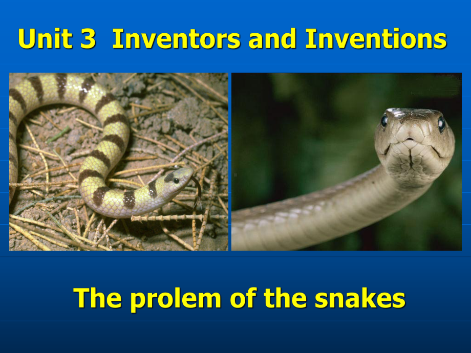 The-Problem-of-the-Snakes-PPT课件-1-人教课标版.ppt_第1页