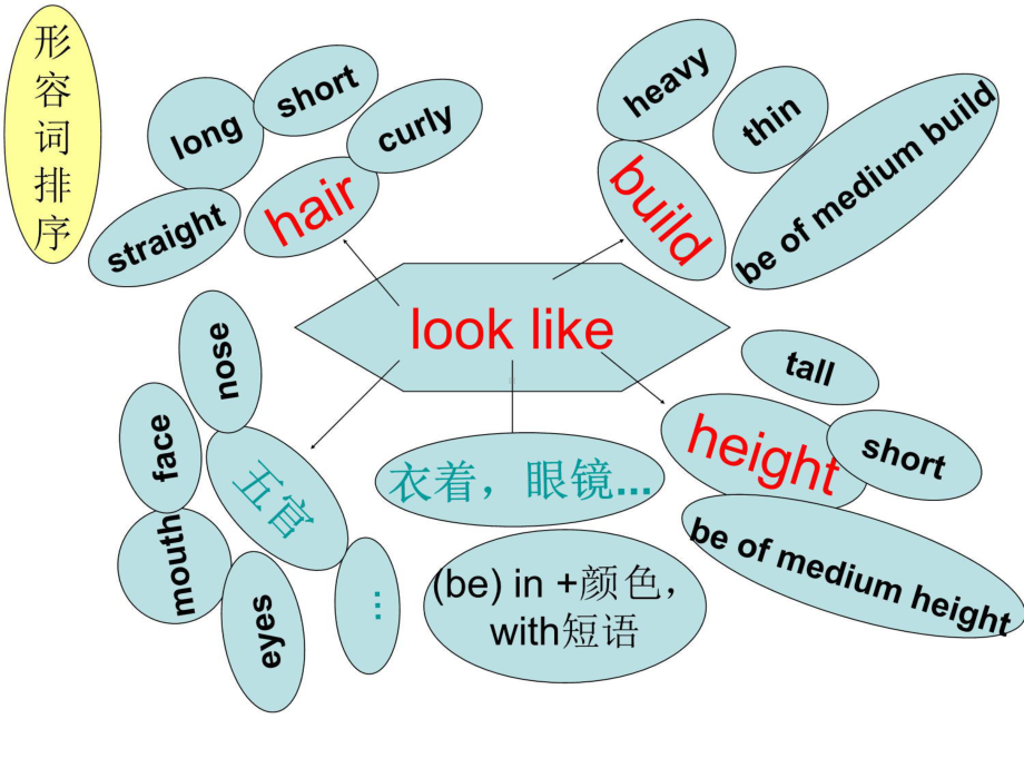 unit1-What-does-he-look-like-复习培训课件.ppt_第3页