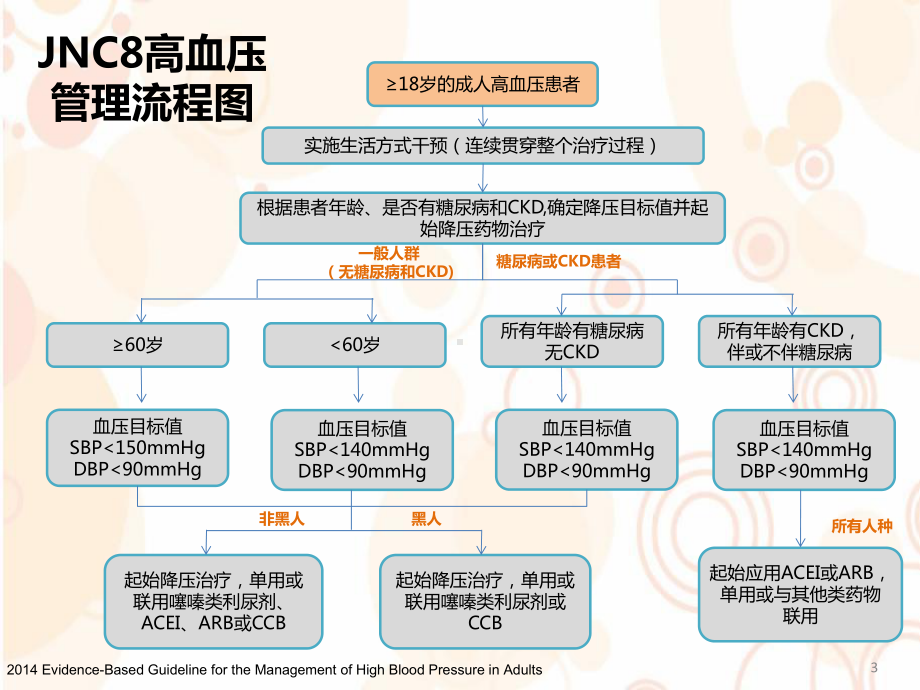 阿罗洛尔幻灯片课件.ppt_第3页