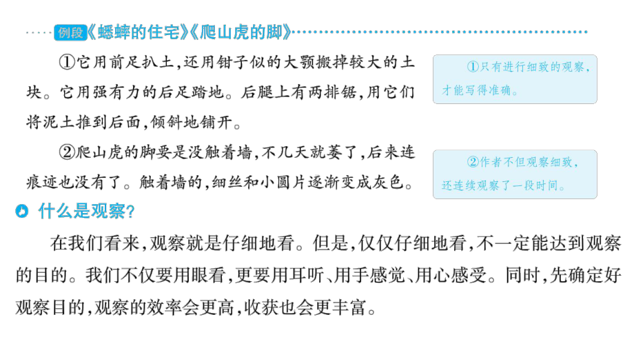 部编版语文四年级上册单元主题阅读第三单元连续观察课件（52页).pptx_第2页