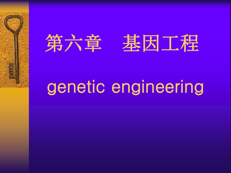 超好研究生分子生物学课件-第六章基因工程.ppt_第1页