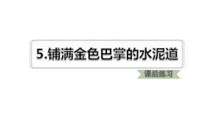 部编版三年级下册语文 5.铺满金色巴掌的水泥道 课后练习课件.ppt