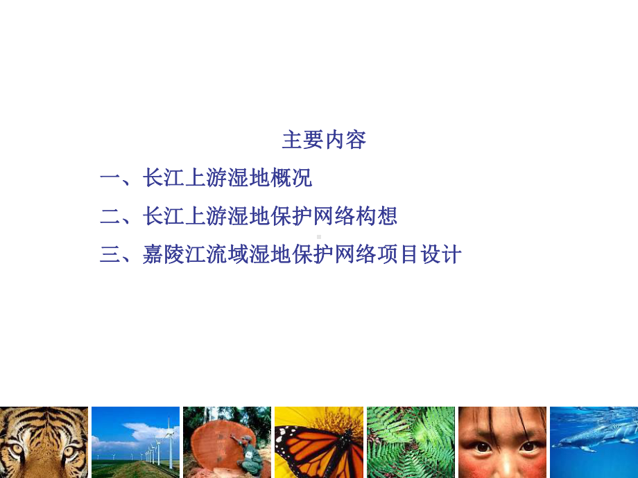 长江上游湿地保护与流域网络构想课件.ppt_第2页