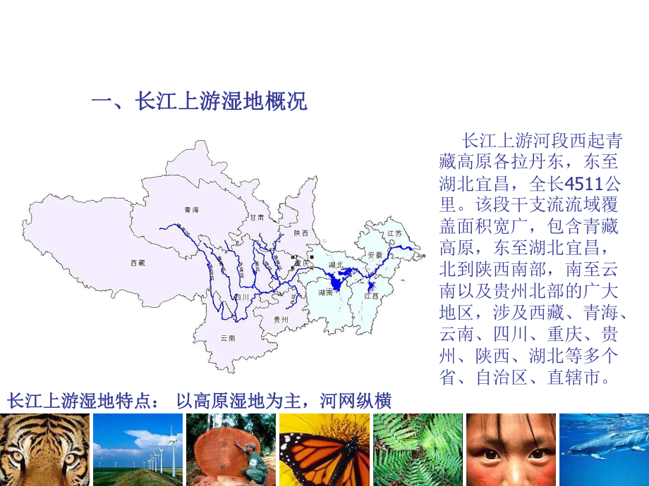 长江上游湿地保护与流域网络构想课件.ppt_第3页