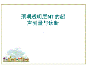 颈项透明层NT的超声测量与诊断医学PPT课件.ppt