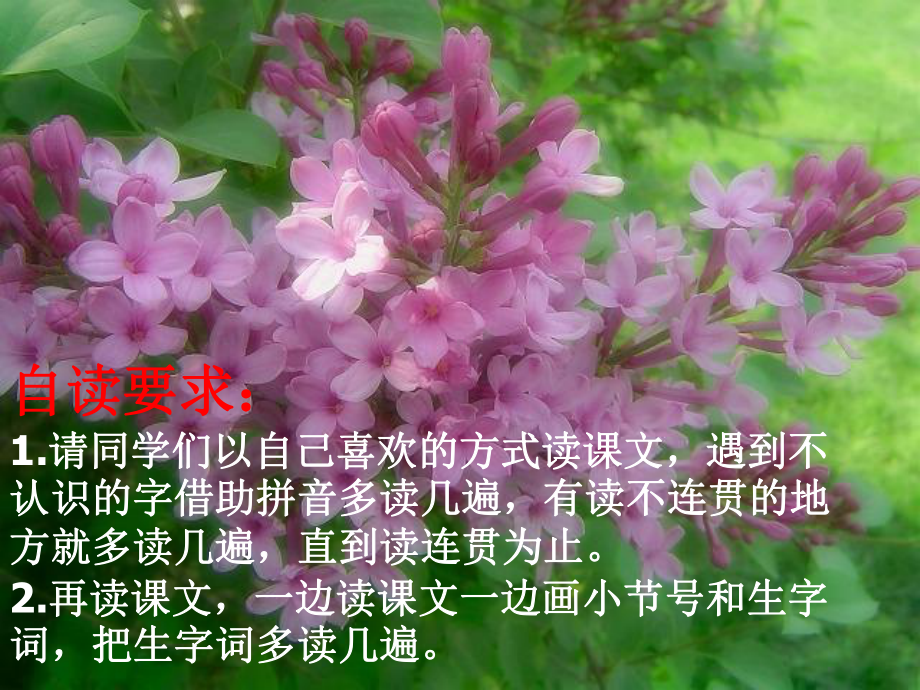 《一株紫丁香》PPT课件5.pptx_第2页