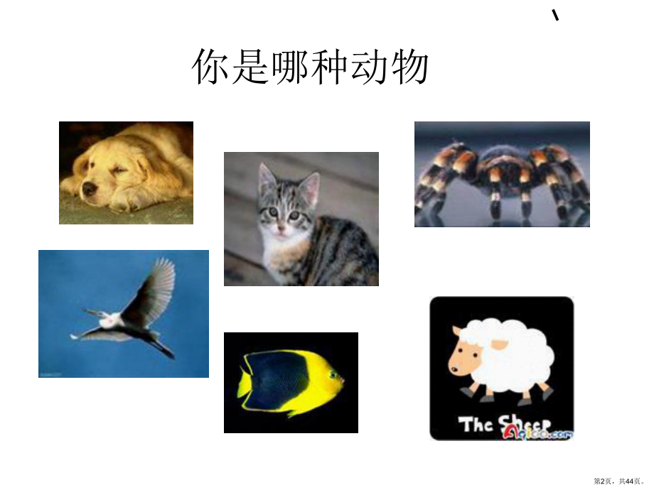 T培训导师课程.ppt_第2页