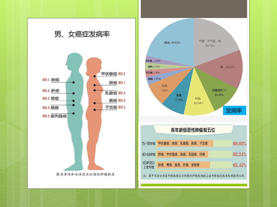 肿瘤临床医护人员应该关注的患者在不同疾病阶段出现的特定问题课件.pptx_第2页