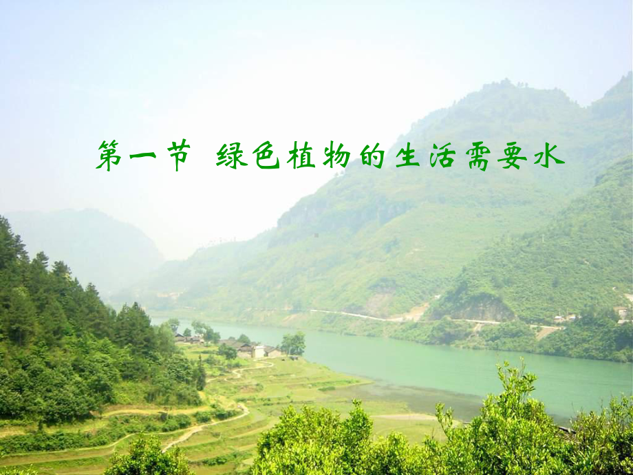 绿色植物需要水分课件.ppt_第1页