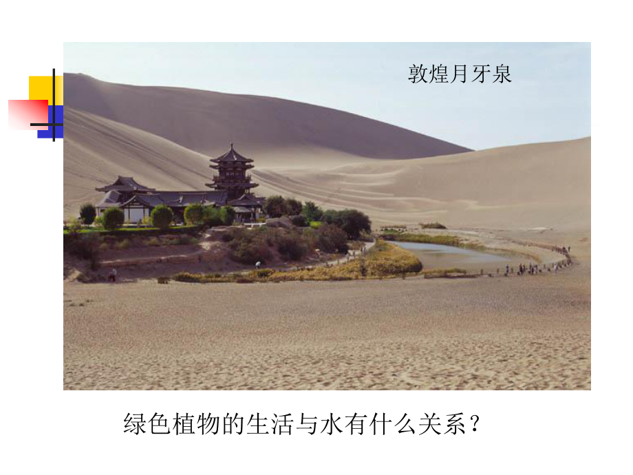 绿色植物需要水分课件.ppt_第3页