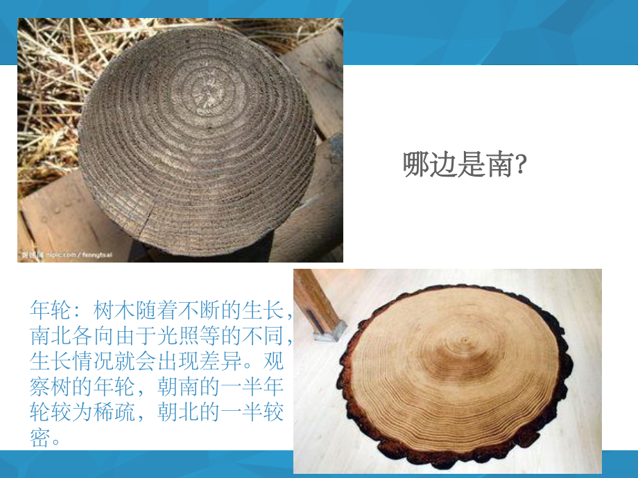 辨别方向的探究活动课件.ppt_第2页