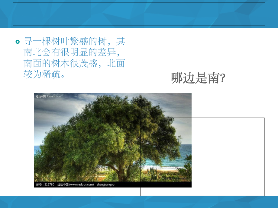 辨别方向的探究活动课件.ppt_第3页