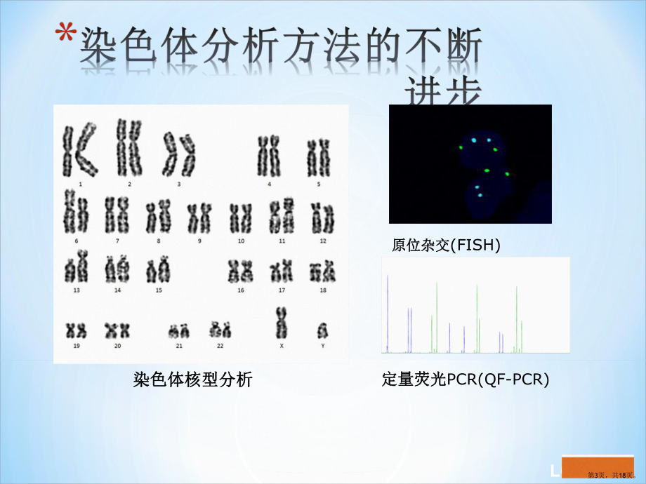 CMA在产前诊断中的应用课件(PPT 18页).pptx_第3页