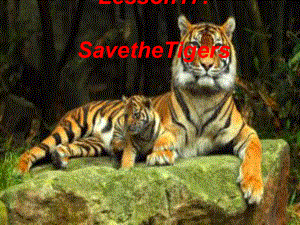 Save-the-Tigers教学课件1-冀教版.ppt