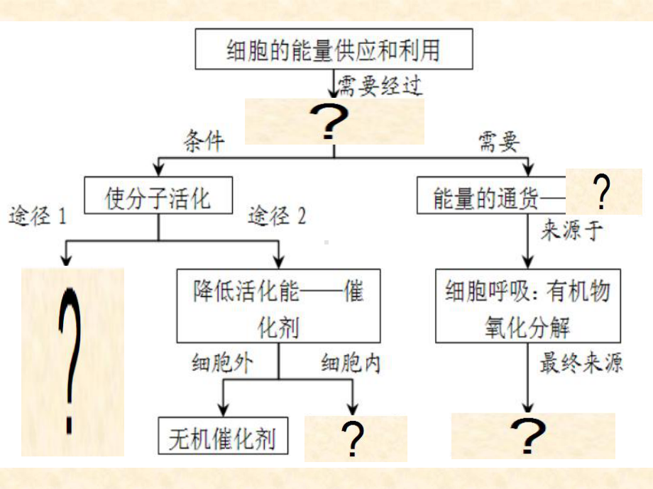 12ATP一轮复习课件.ppt_第1页