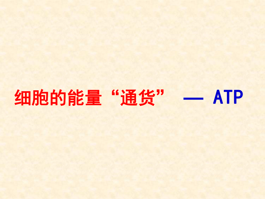 12ATP一轮复习课件.ppt_第2页